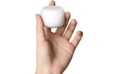 babelio sound machine review