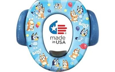 bluey potty seat evaluation