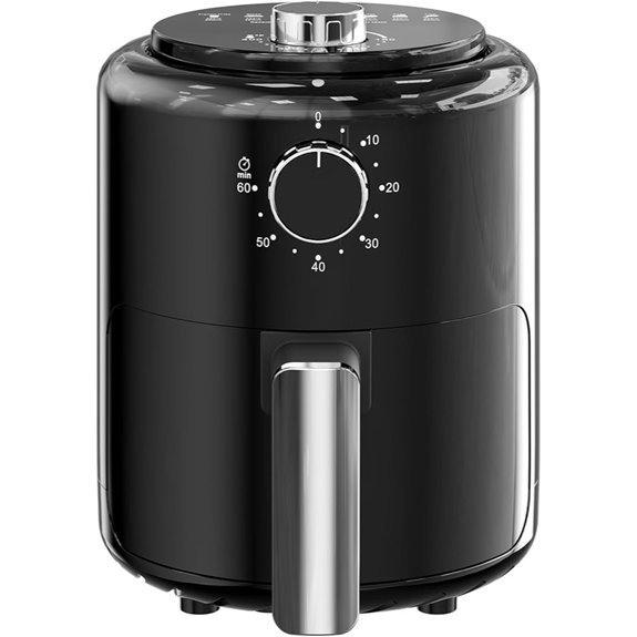 Compact 2QT Air Fryer with Adjustable Temperature Control