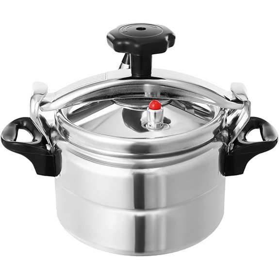 Portable 3L Pressure Cooker with Two Handles