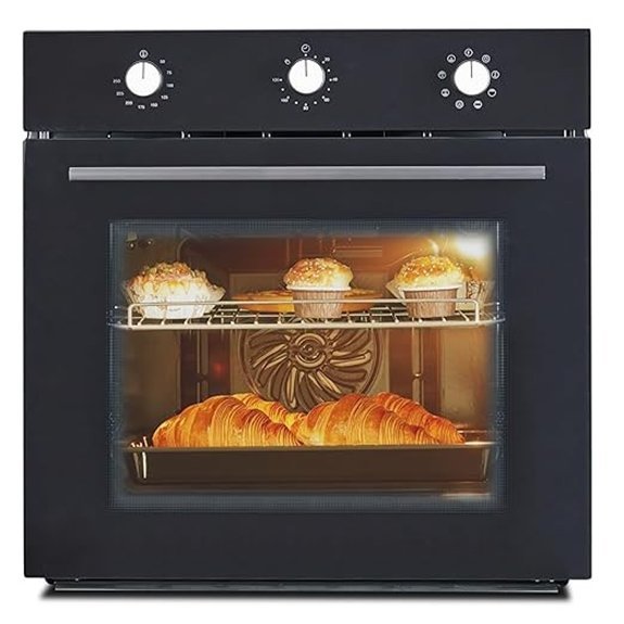 24 Inch Built-in Electric Convection Wall Oven