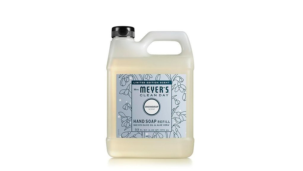 effective eco friendly cleaning solution