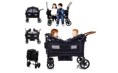 luxury twin stroller review