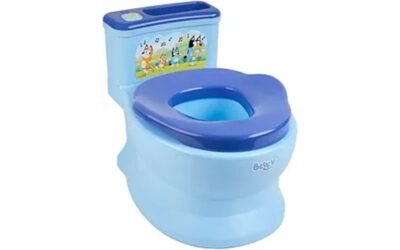 potty training made fun