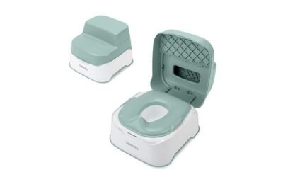 potty training product review