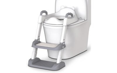potty training seat review