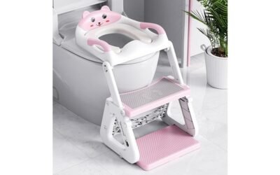 potty training seat review