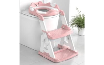 potty training seat upgrade