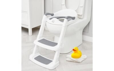 potty training toilet seat