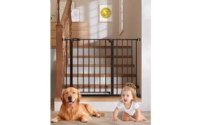 safety and convenience features