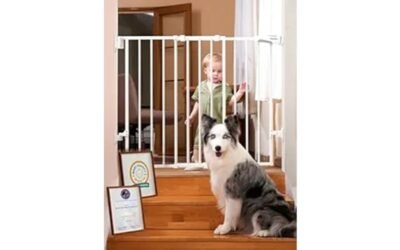 safety and convenience features