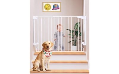 safety and convenience features