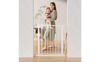 safety and convenience gate