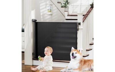 safety and convenience gate