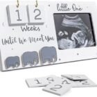 sonogram picture frame delight