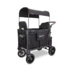 stroller wagon luxury review