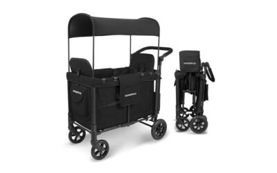stroller wagon review highlights