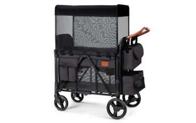 two kid wagon stroller review